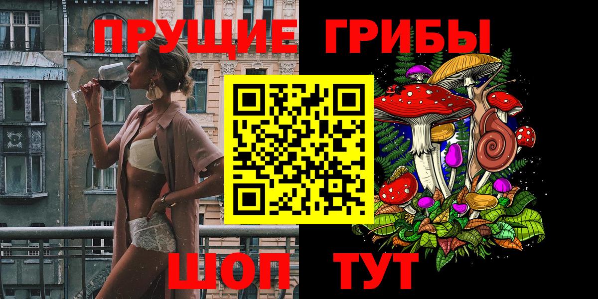 Псилоцибиновые грибы Psilocybe Краснознаменск
